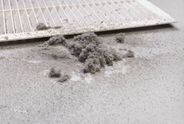 Best Local Air Duct Cleaning Services  in Wellsville, MO