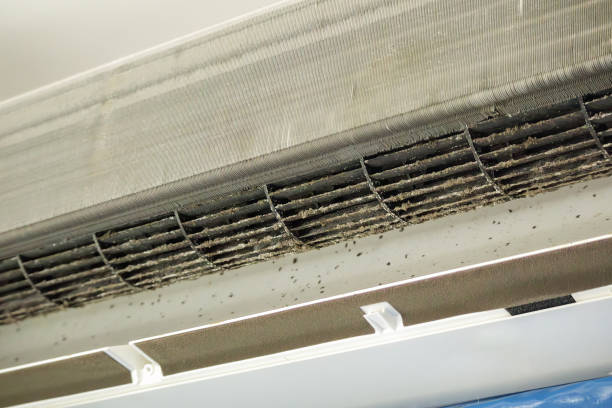 Best Air Duct Cleaning Company Near Me  in Wellsville, MO